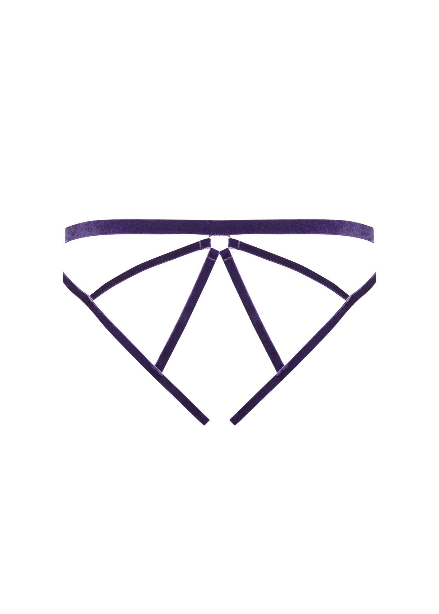 Maison Close Velvet Open Brief (Purple) | Avec Amour Sexy Lingerie