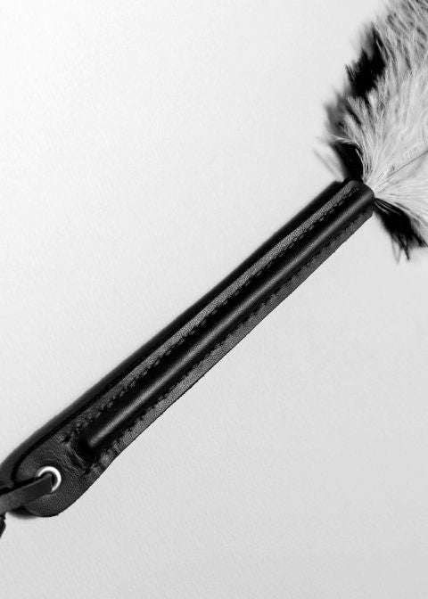 Baed Stories Feather Tickler - Bedroom Fun - BDSM Props - Avec Amour Sexy Lingerie