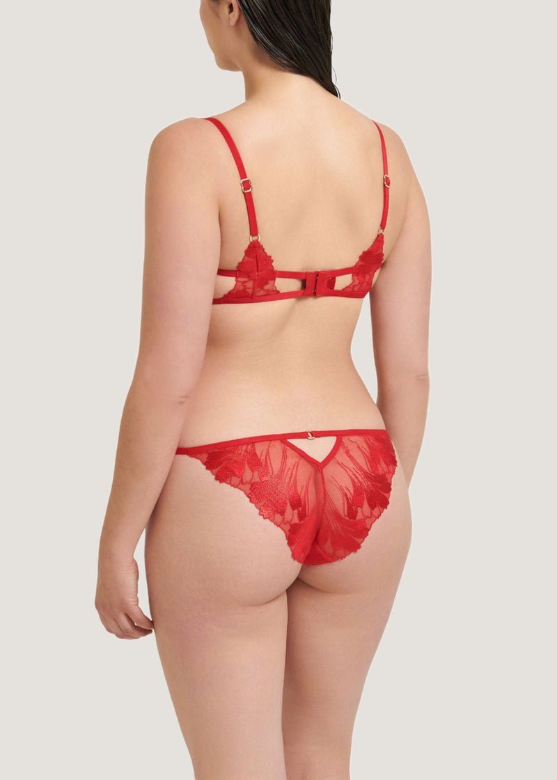 Bluebella Colette Brief (Tomato Red) - Embroidery Lace Underwear | Avec Amour Sexy Lingerie