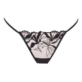 Bluebella Persephone Brief - Black Embroidery Panty | Avec Amour Sexy Lingerie