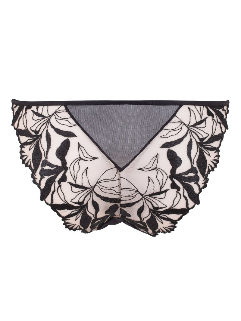 Bluebella Persephone Brief - Black Embroidery Panty | Avec Amour Sexy Lingerie