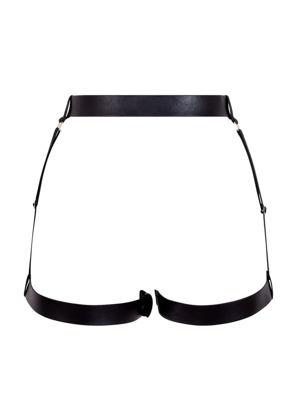 Harness Bra and Garter Belt