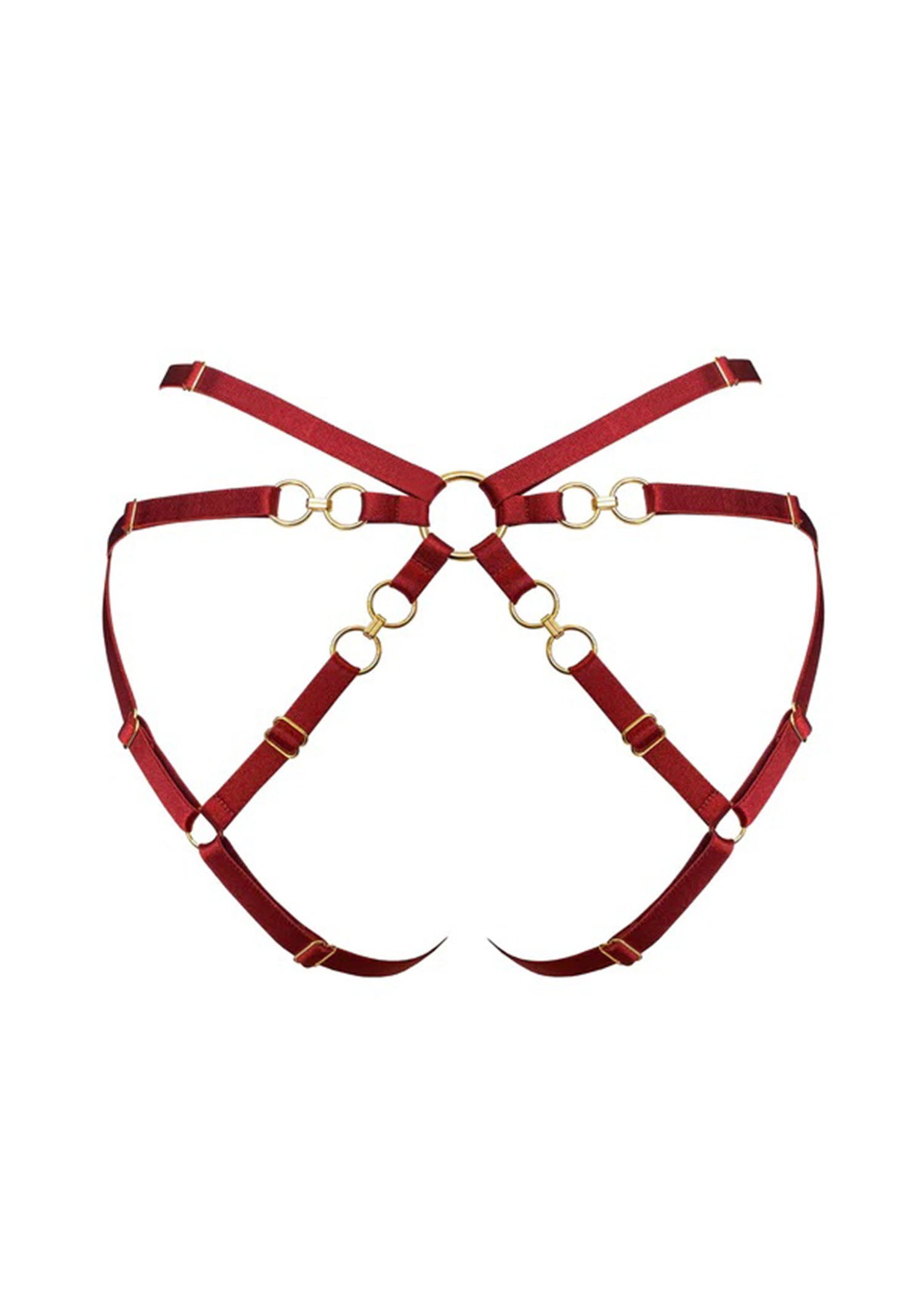 Bordelle Kleio Open Back Brief (Burnt Red) - Ouvert Panty | Avec Amour Luxury Lingerie