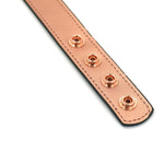 Liebe Seele Rose Gold Memory Collar & Nipple Clamps - BDSM Accessories | Avec Amour Lingerie
