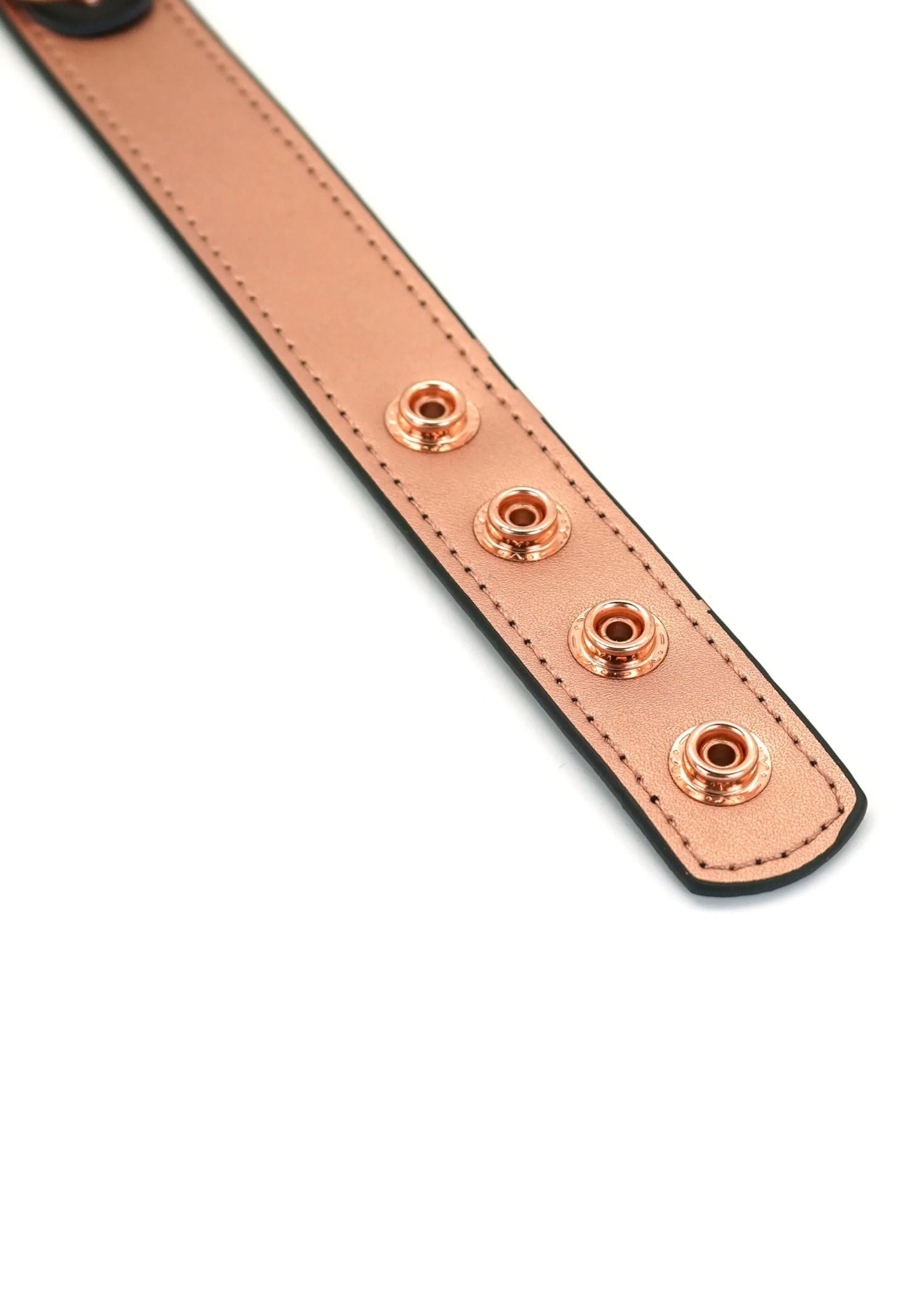 Liebe Seele Rose Gold Memory Collar & Nipple Clamps - BDSM Accessories | Avec Amour Lingerie